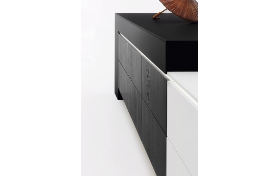 FENIX 4901 